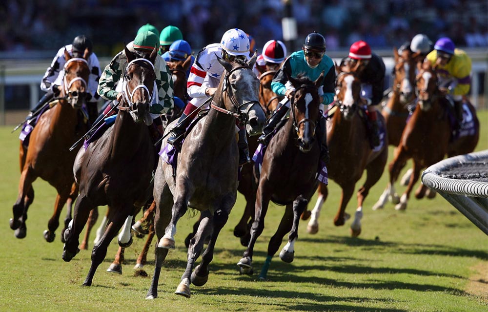 apuestas-caballos